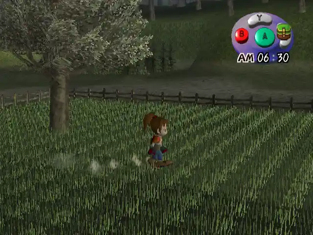 harvest moon : another wonderful life